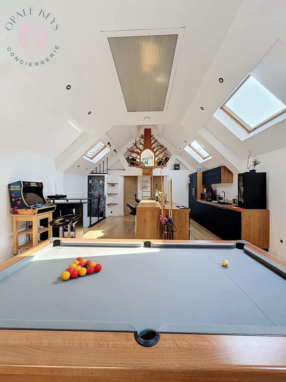 Loft Billard et Arcade 3 CH Garage et Terrasse House in Calais