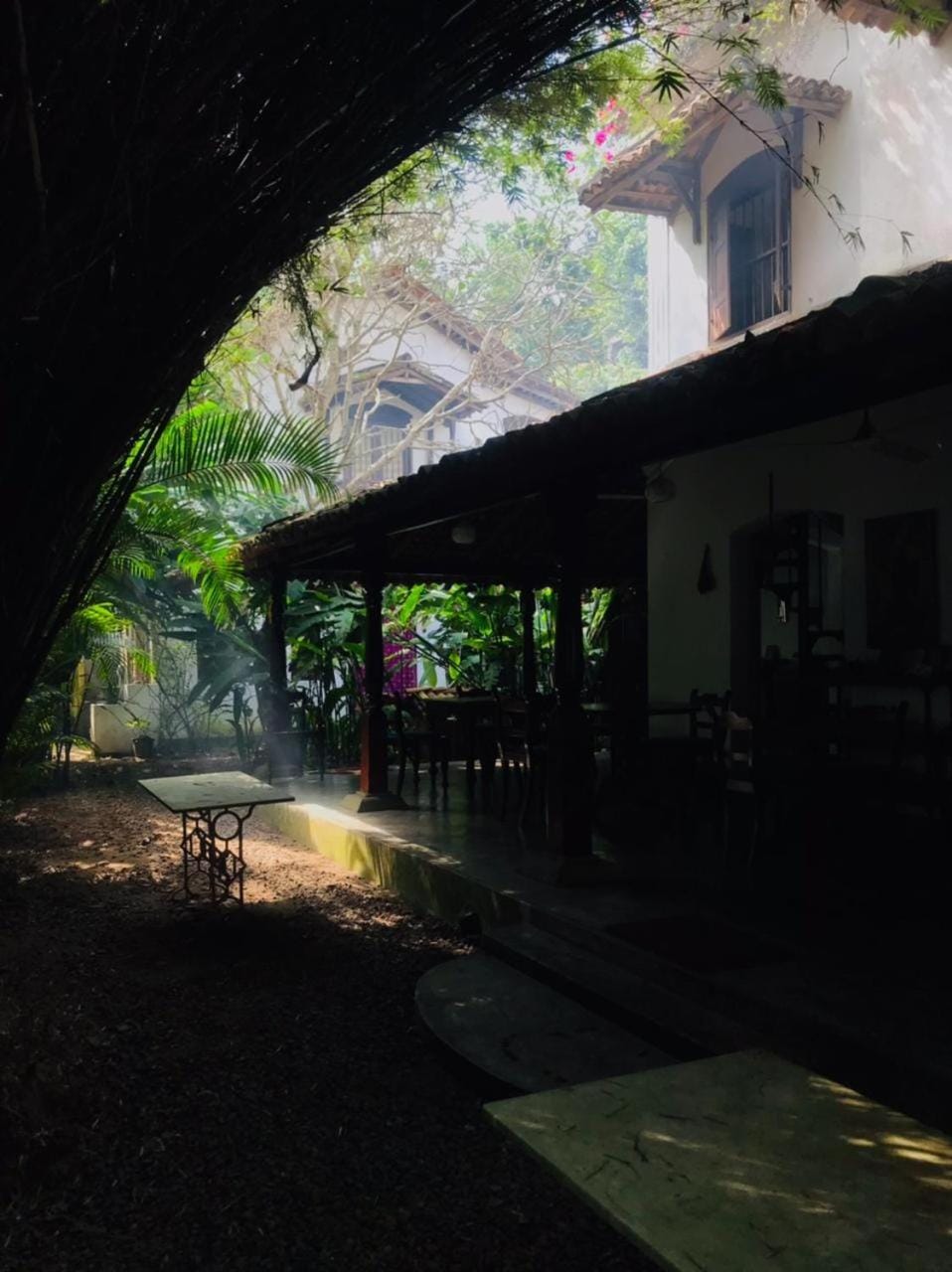 Garden, Garden view, Garden view
