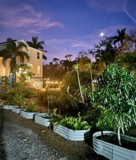 Magic Jungle Farm - Working Exotic Fruit Farm Stay with Butterfly Gardens, Wooded Trails & Beaches House in Bradenton