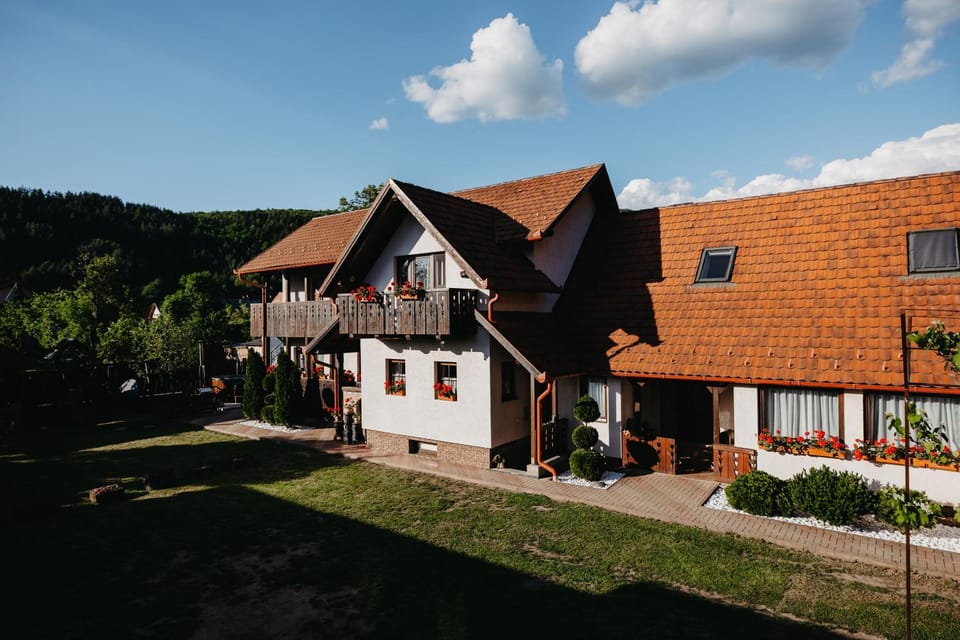 Zsuzsanna Parasztház Bed and Breakfast in Romania
