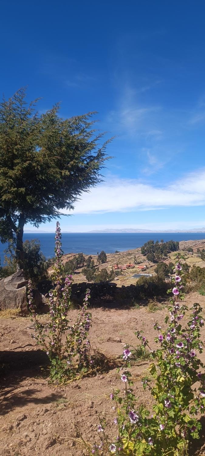 TAQUILE LODGE Perú Bed and Breakfast in Puno, Peru