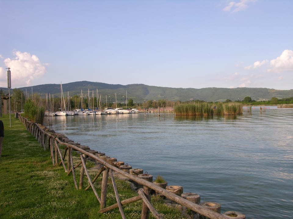 Lake view