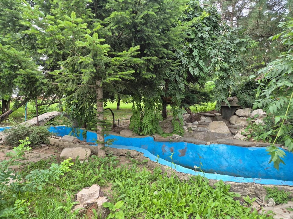Paradisul de la țara Villa in Romania