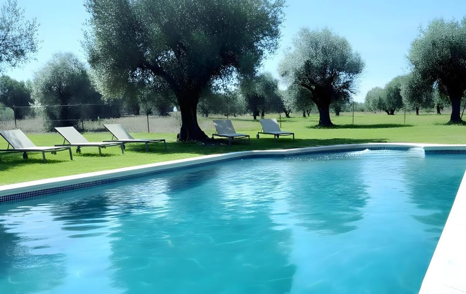 Property building, Living room, Swimming pool