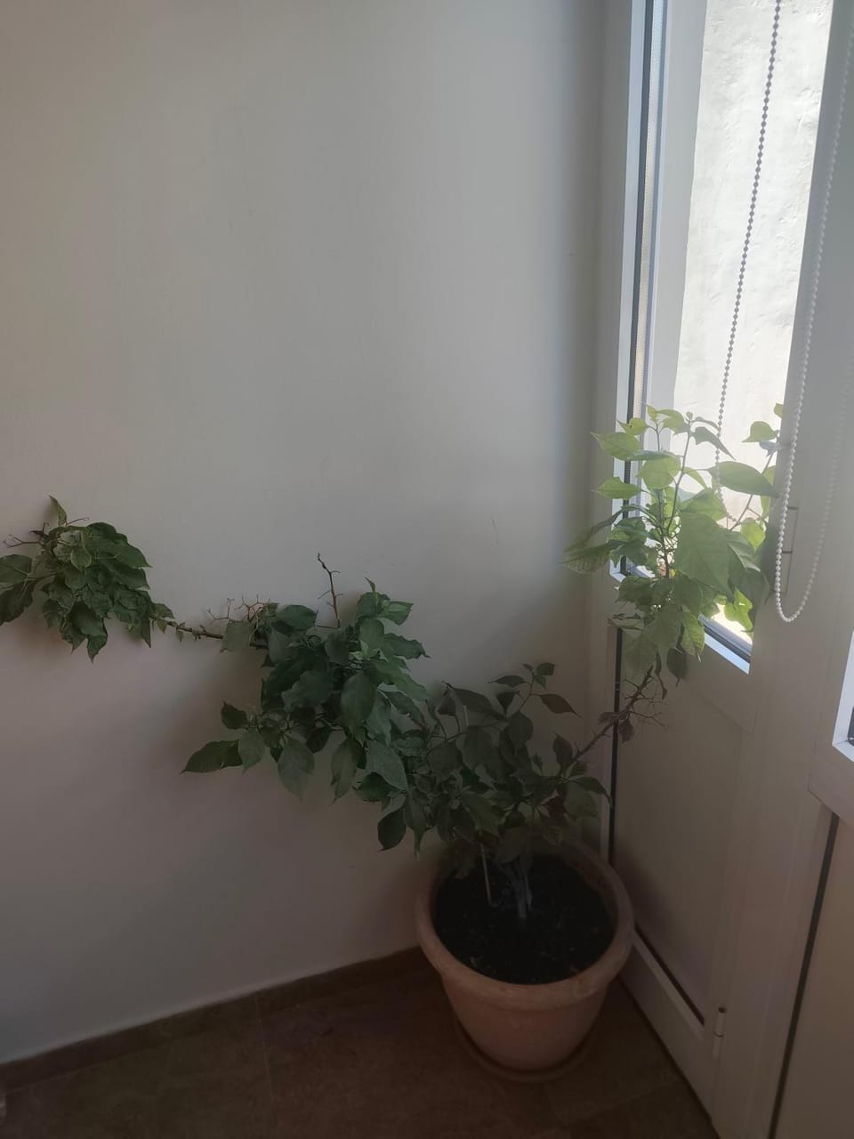 Marina apartment Apartment in Decentralized Administration of Macedonia and Thrace