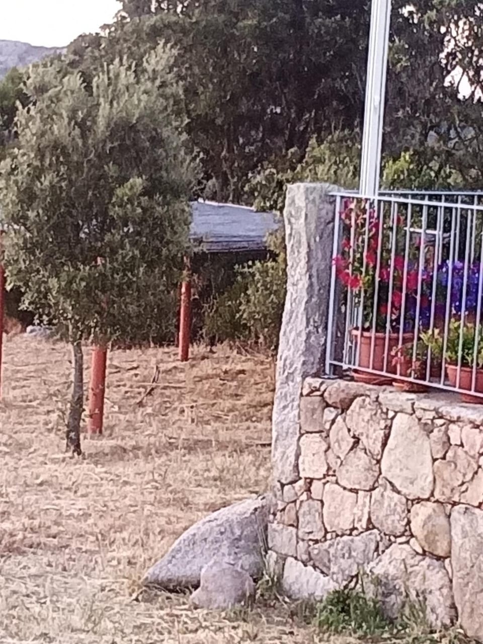 Alloggio Lu Corru Biancu Bed and Breakfast in Sardinia