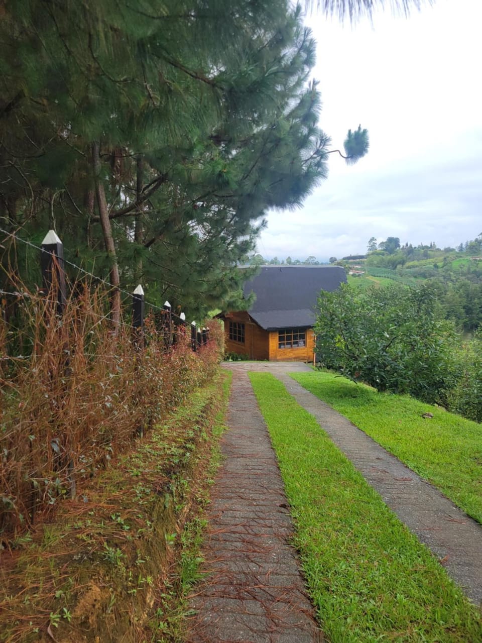 Cozy Cabin in avocado farm Cabin in Antioquia