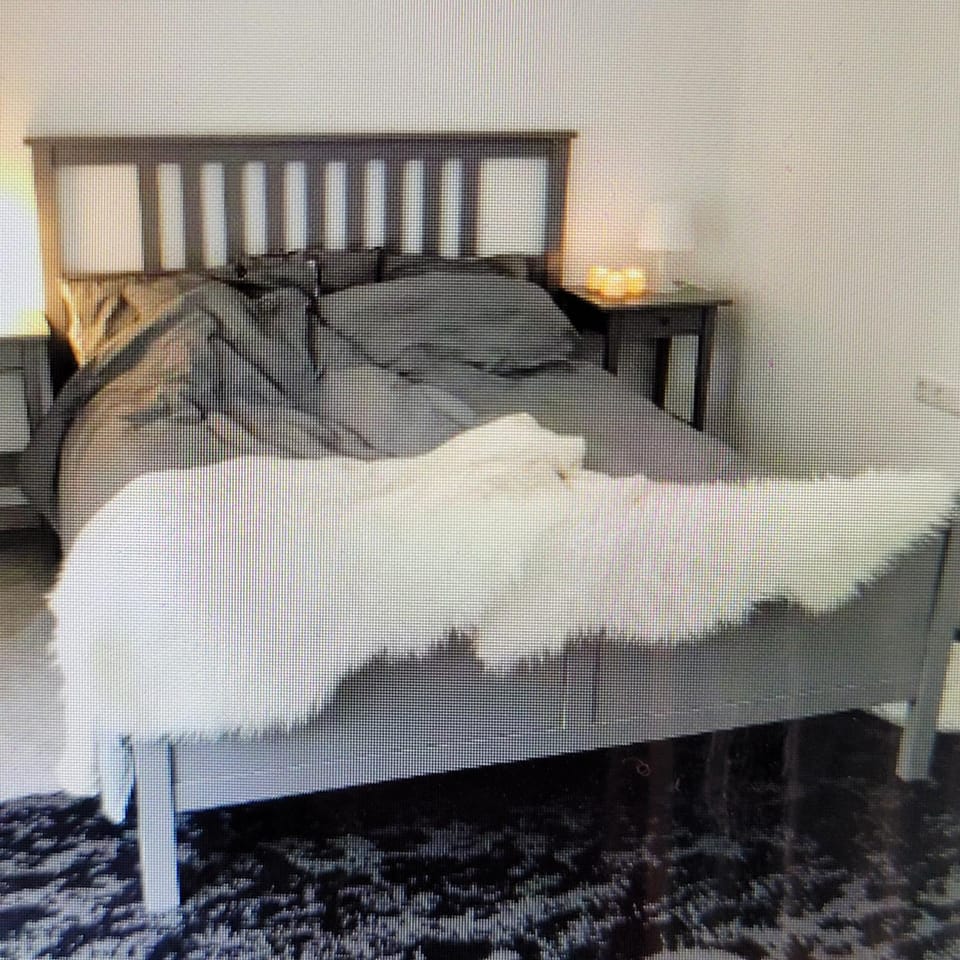 Bright, relaxing and spacious property in Châtel Apartment in Châtel