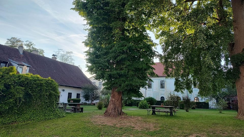 Property building, Restaurant/places to eat, Garden