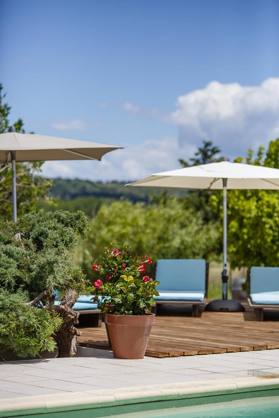 Spring, Day, Balcony/Terrace, On site, Swimming pool