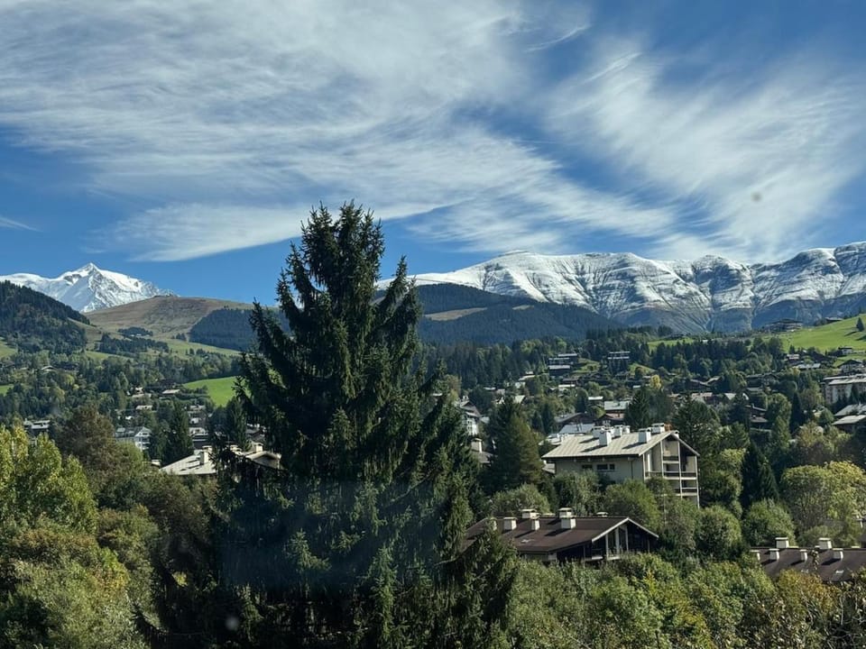 Cozy and beautiful property in Megève Apartment in Combloux
