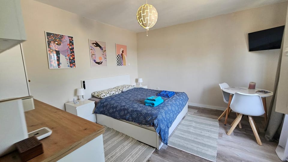 Bed, TV and multimedia, Kitchen or kitchenette, Living room, Photo of the whole room, Seating area, Bedroom