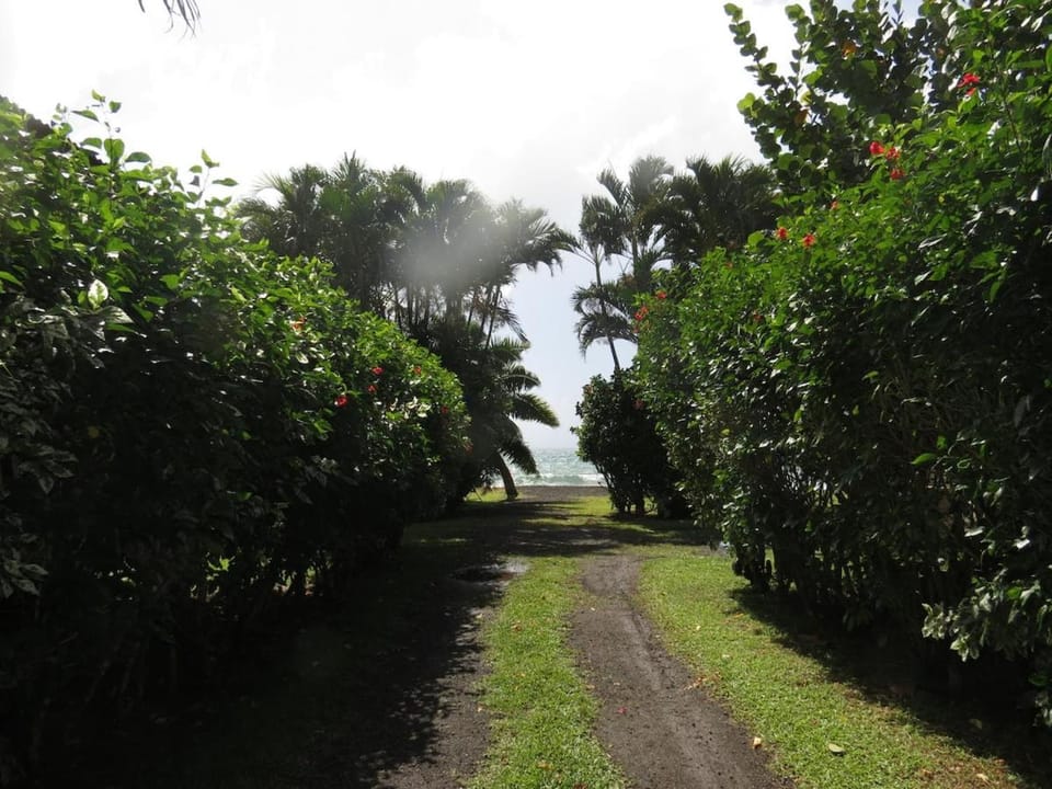 Bungalow Tearo House in Tahiti