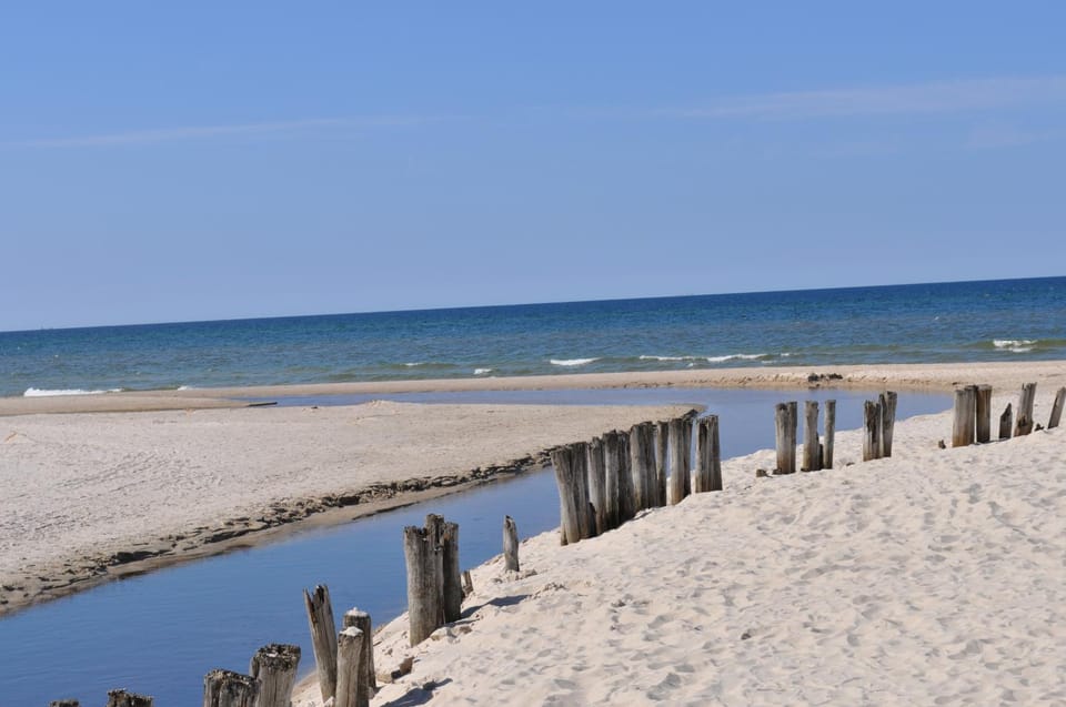 Neighbourhood, Natural landscape, Beach