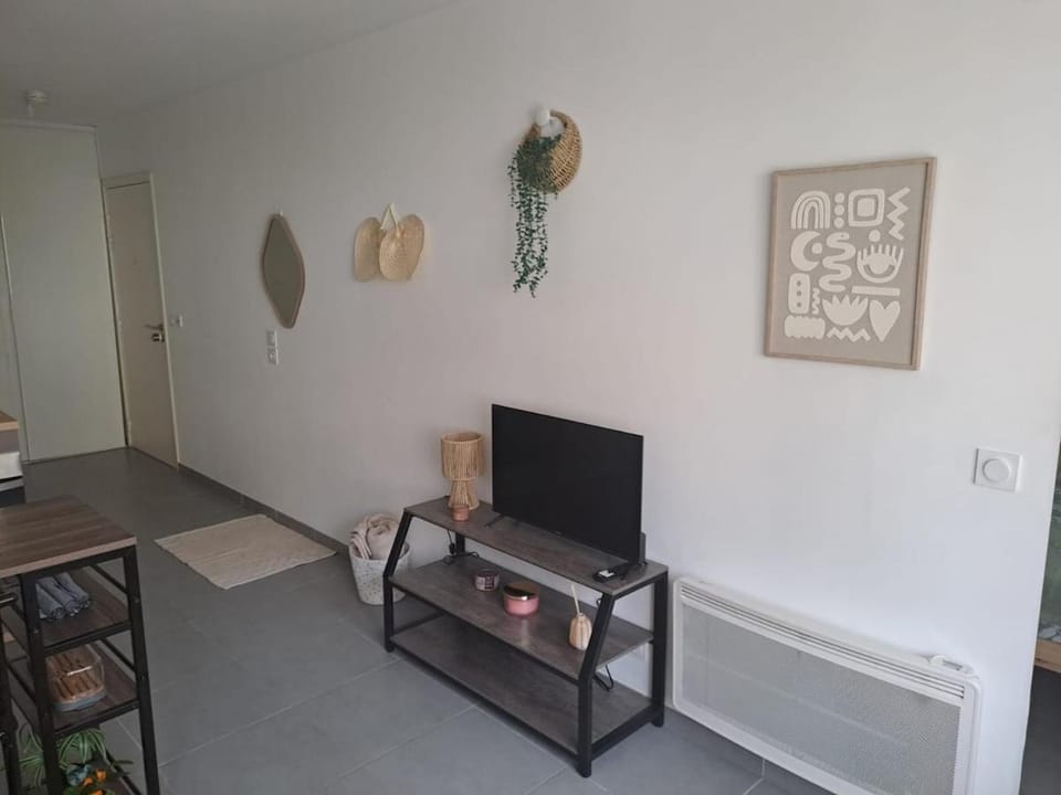 TV and multimedia