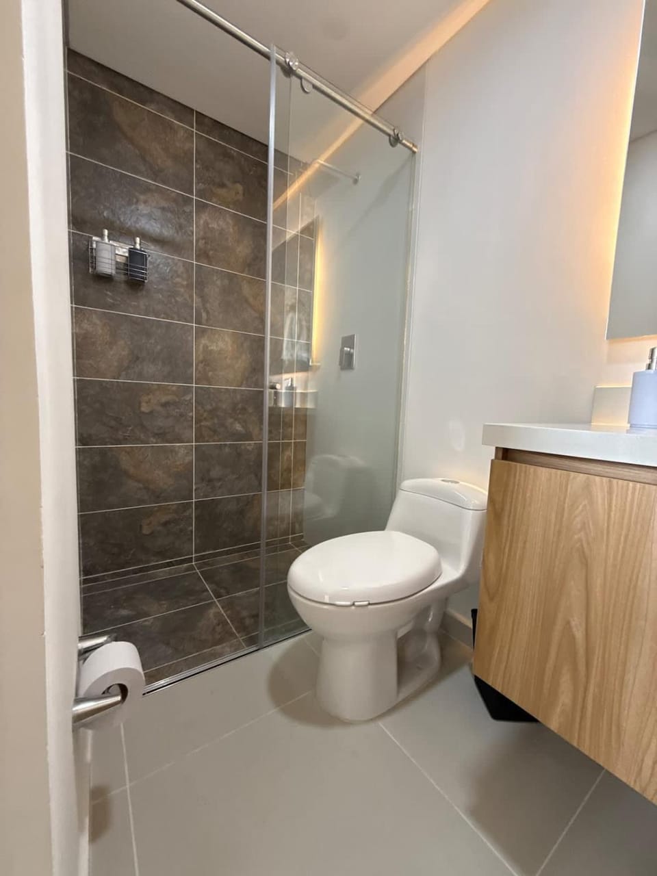 Shower, Toilet, Bathroom, bidet
