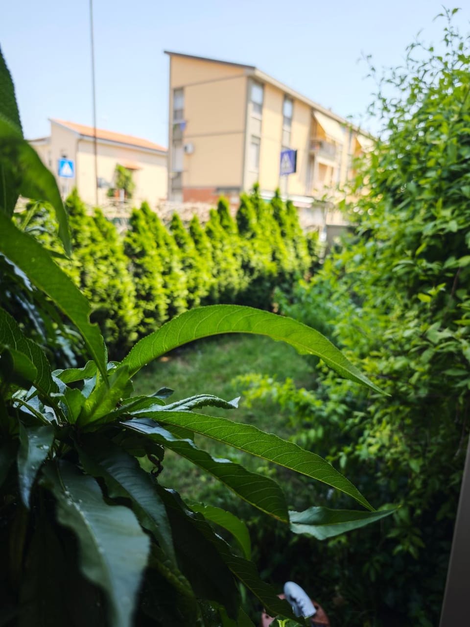 La Casina a Tramontana Apartment in Pisa