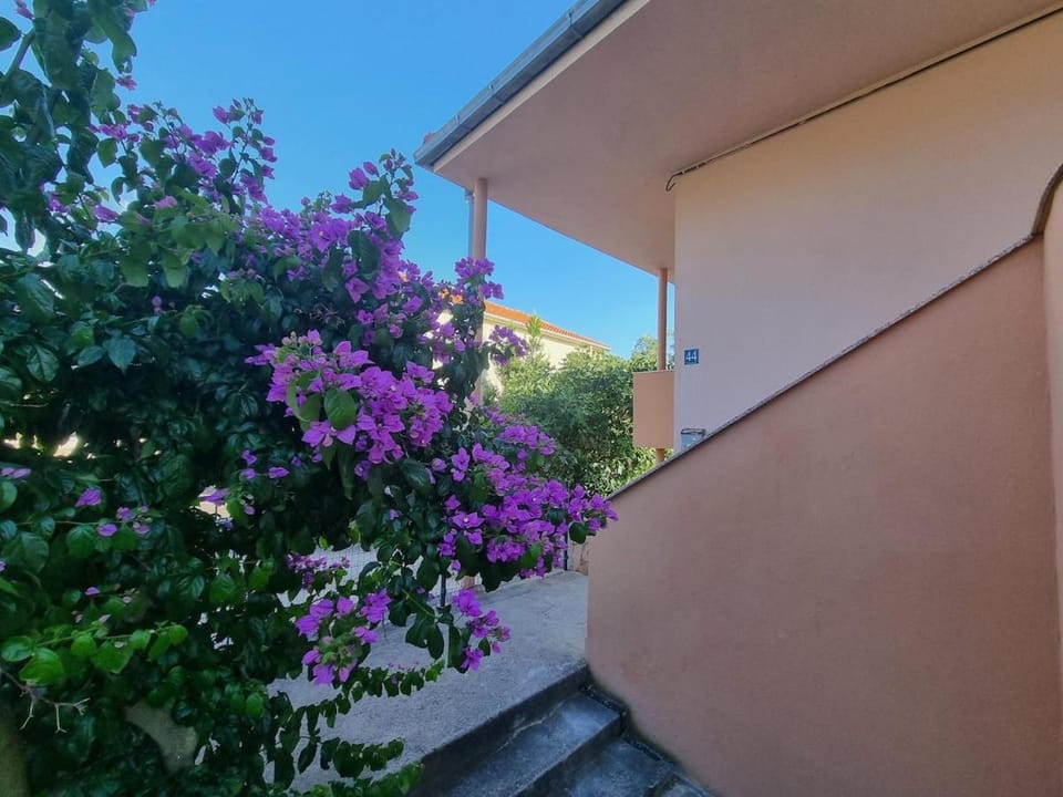 Atrium, Broutalla & Belvedere luxury studios Apartment in Zadar County
