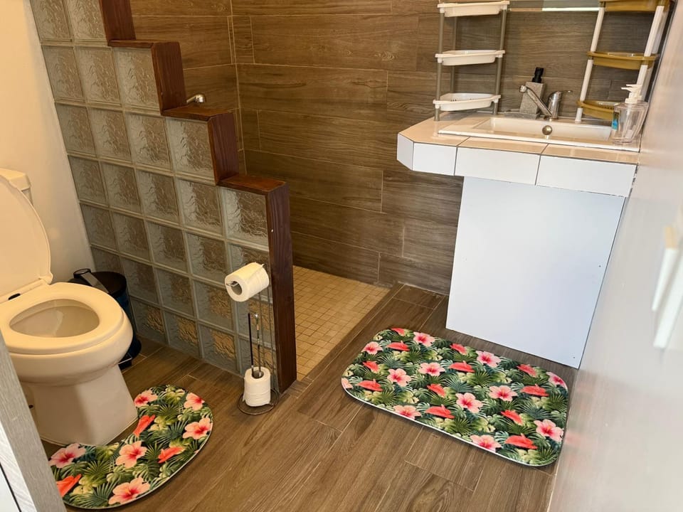 Shower, Toilet