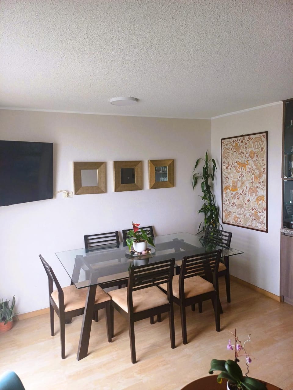 Cozy & Well-Located 2BR in Barranco Apartment in Barranco