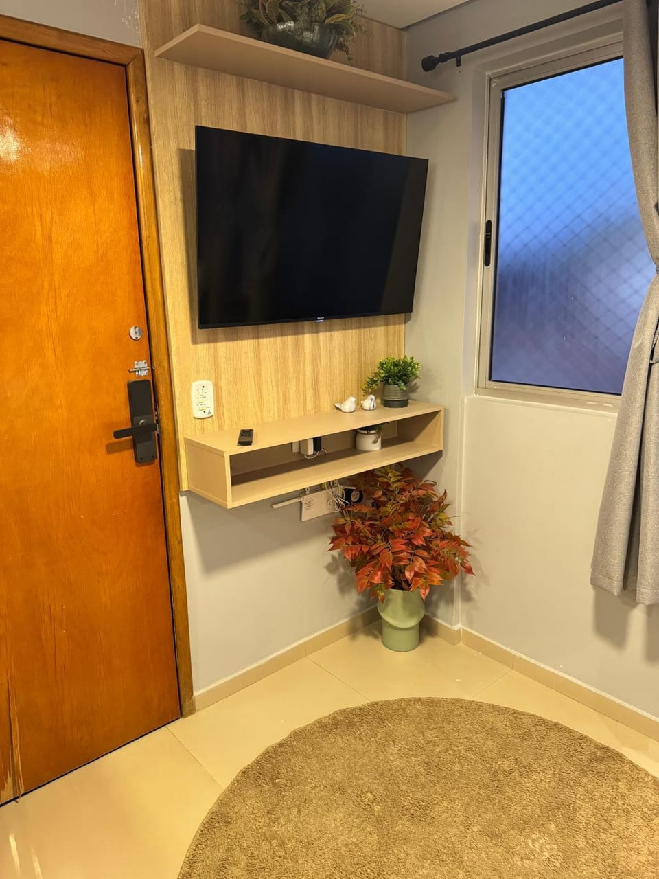 TV and multimedia