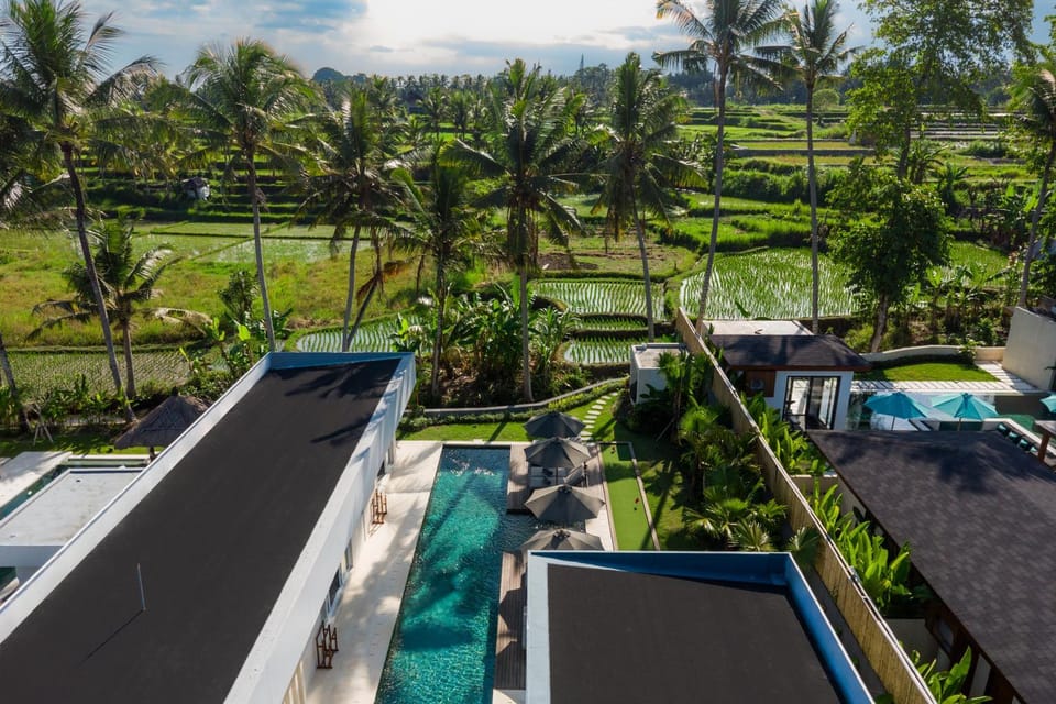 Property building, Natural landscape, Swimming pool