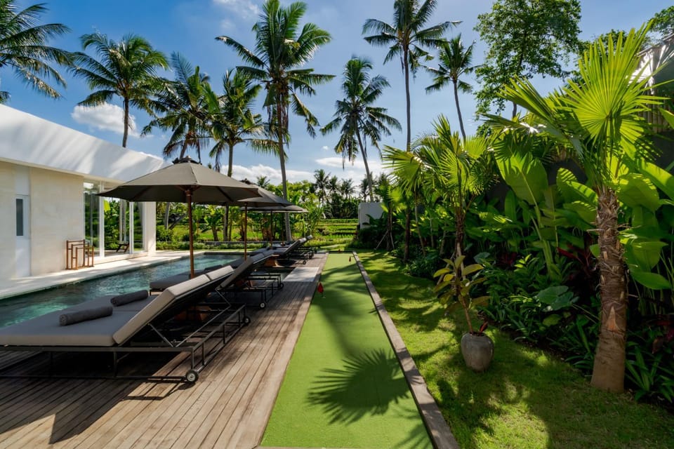 Natural landscape, Garden, Pool view, Swimming pool, sunbed