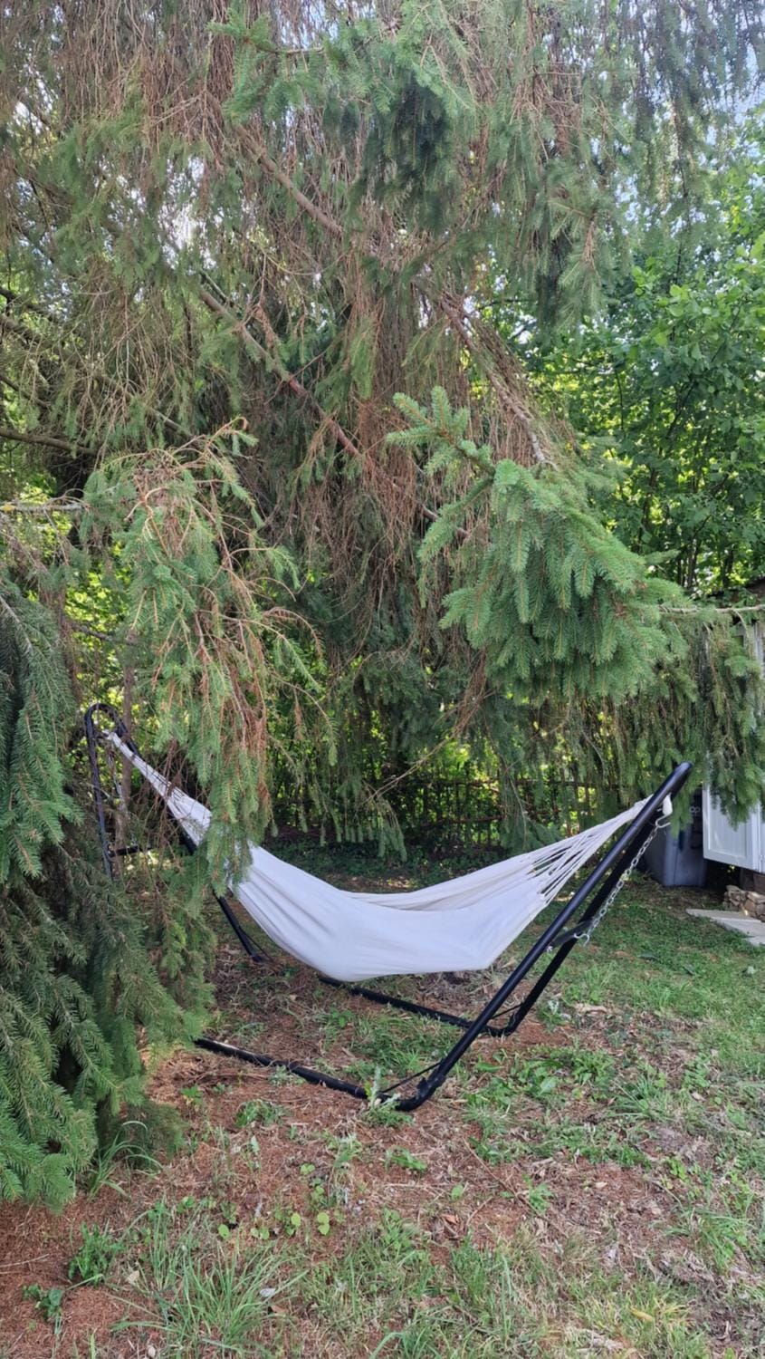 Tente Lodge Logement Insolite 4pers Campagne Normande Orne Luxury tent in Normandy