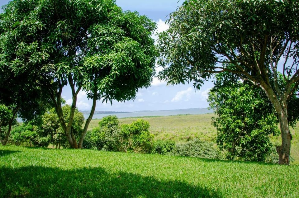 View (from property/room), Lake view