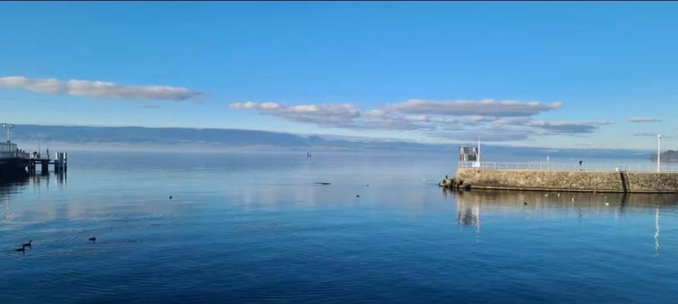La Thonolia Maison de Charme Quartier des Pêcheurs House in Thonon-les-Bains