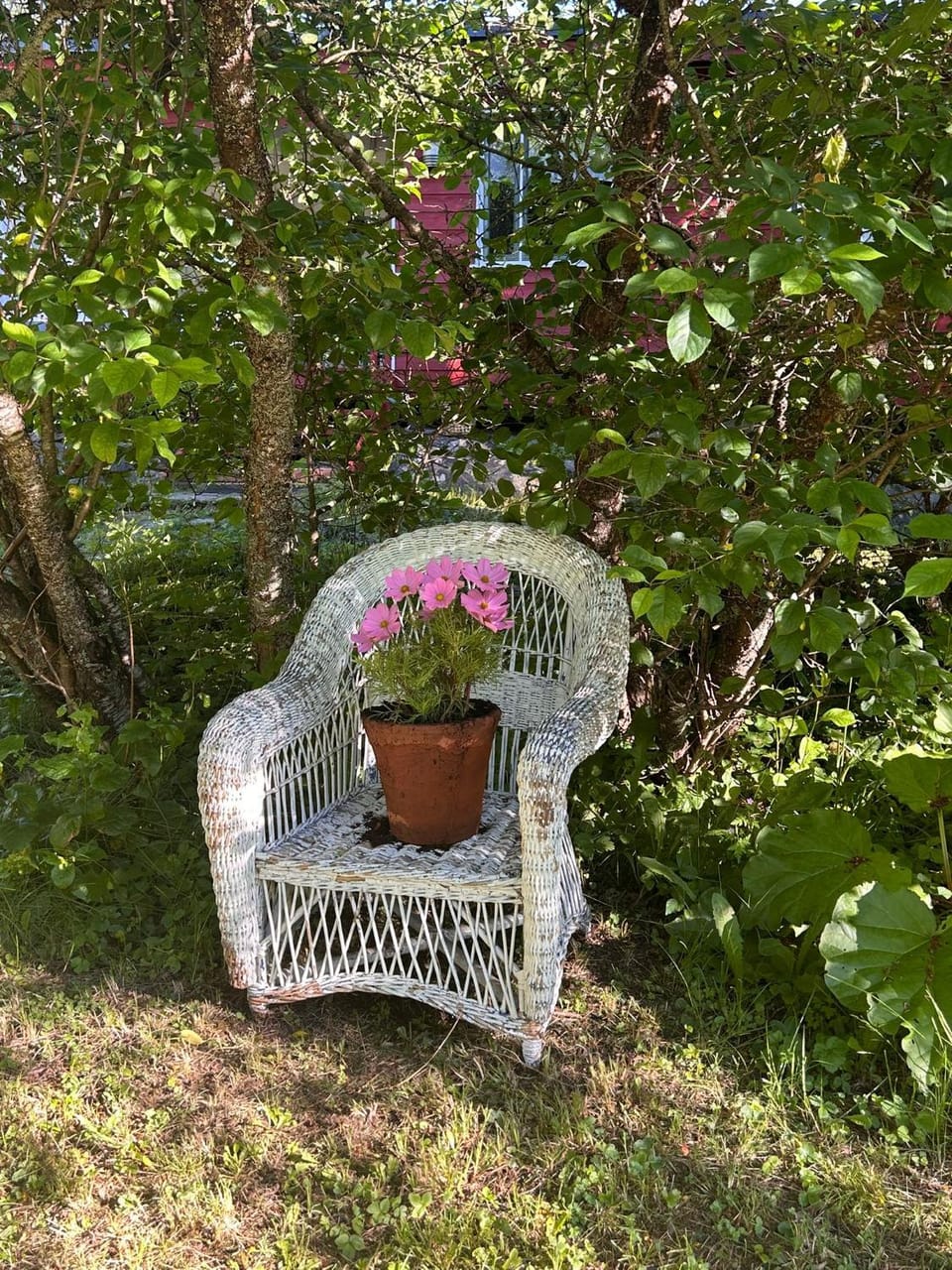 Day, Garden, Garden view