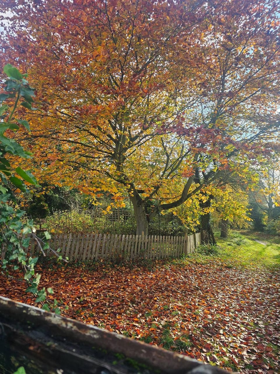 Autumn