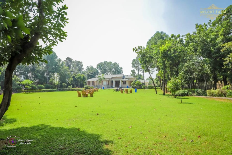Day, Natural landscape, Garden, Garden view