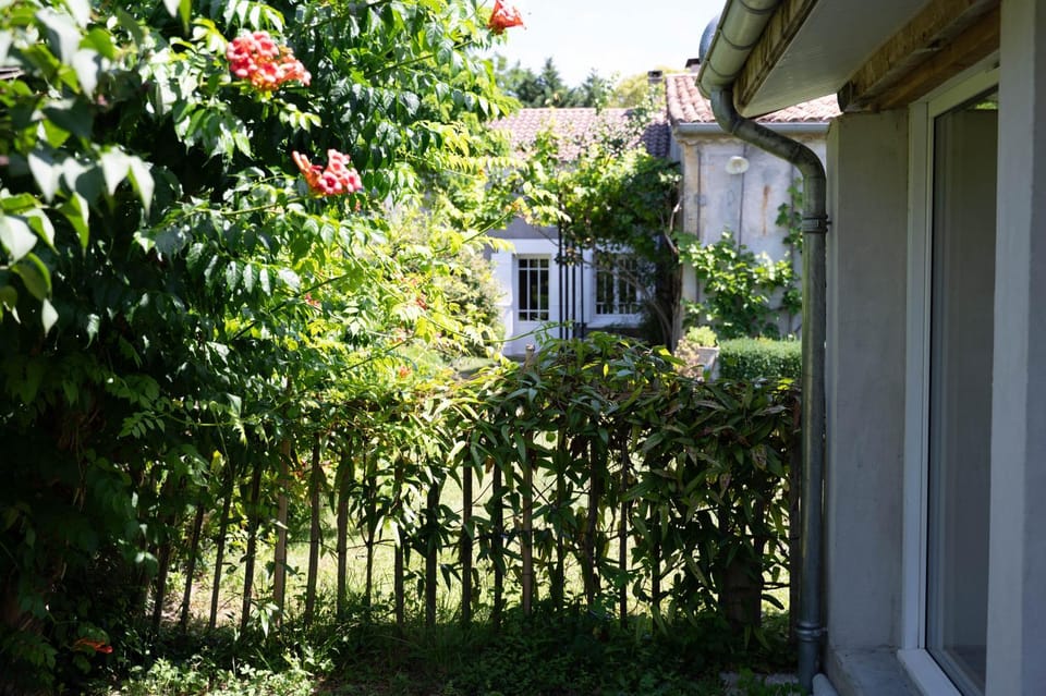Garden, Garden view