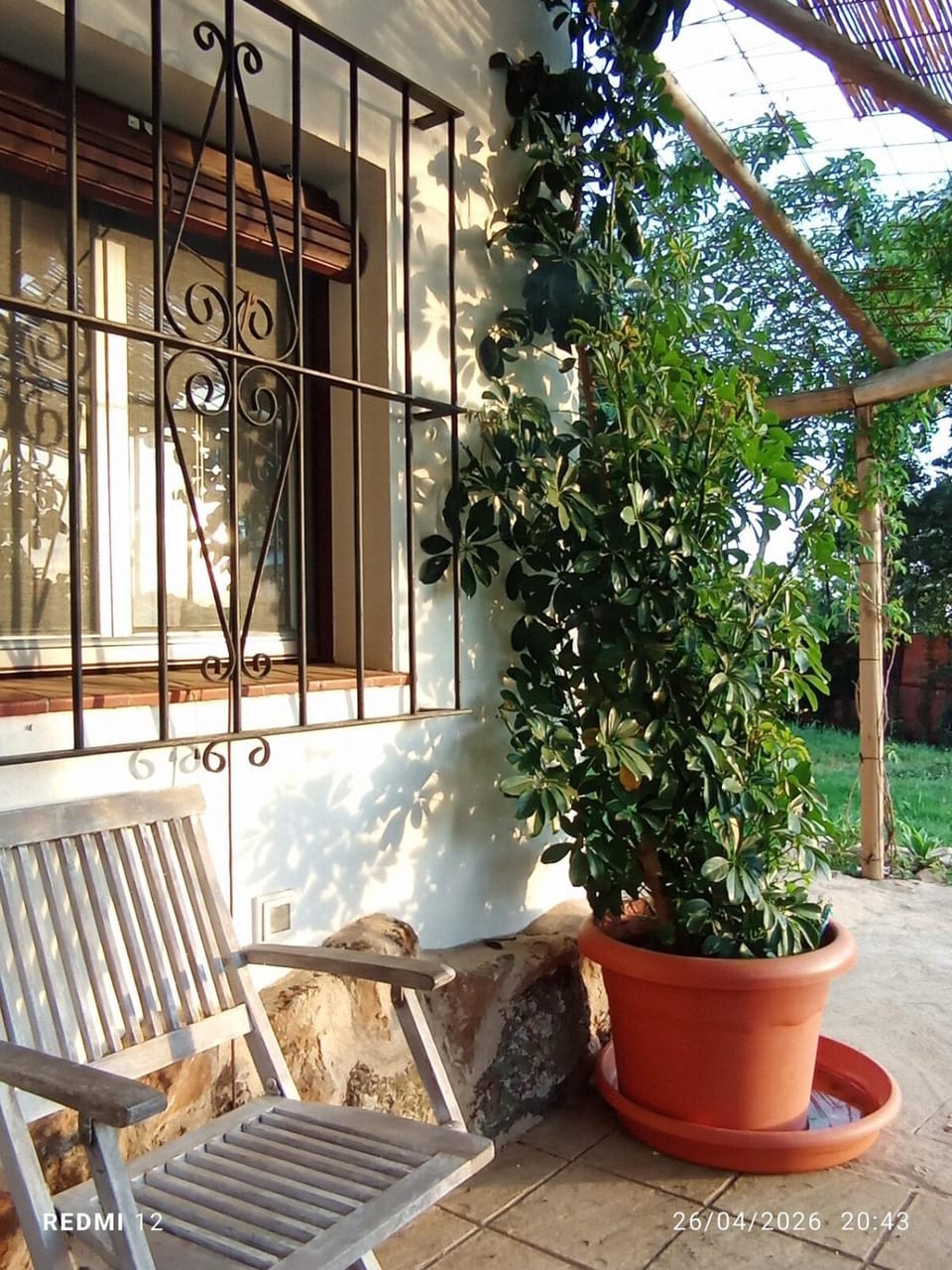 Garden view