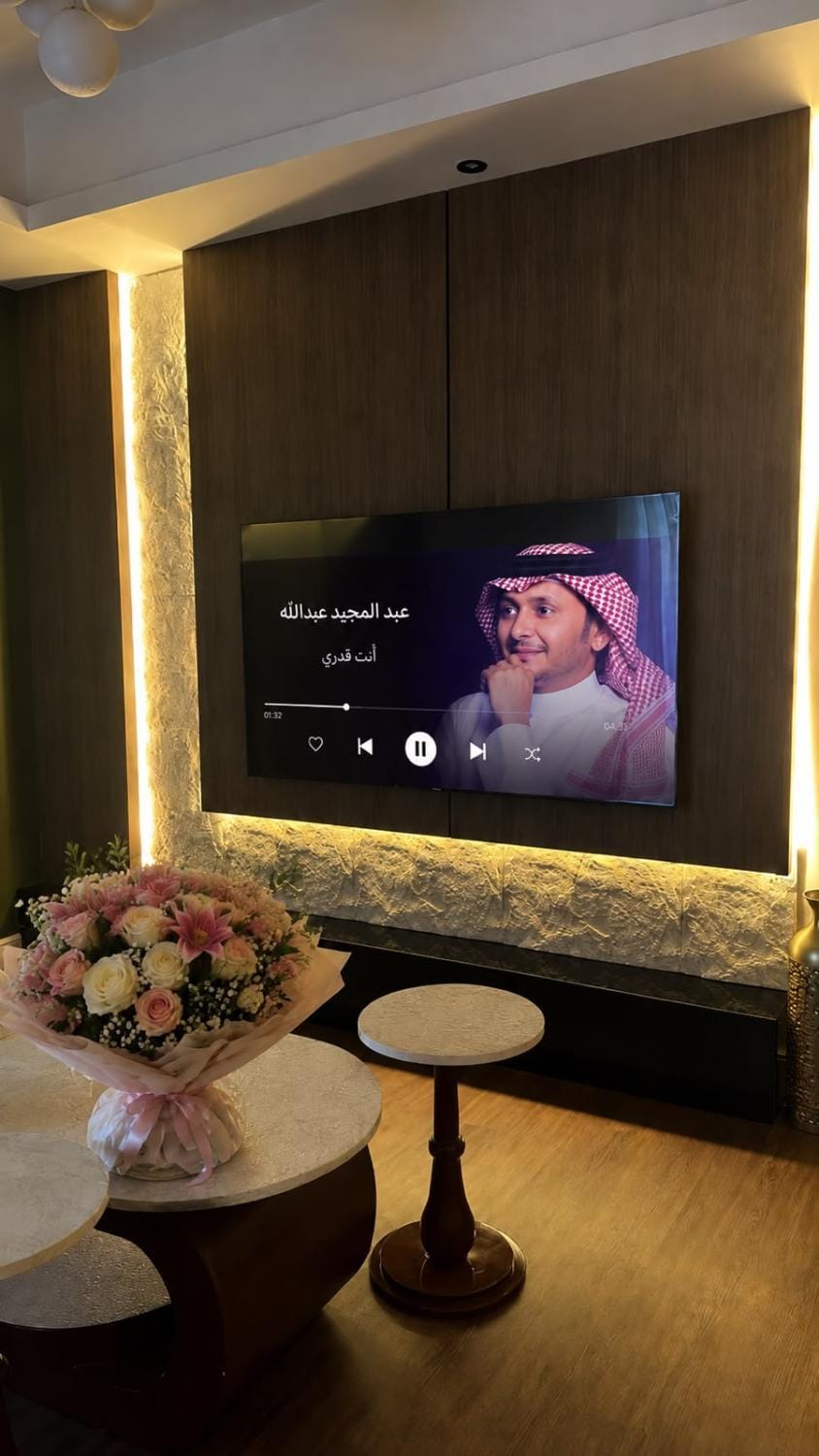 TV and multimedia