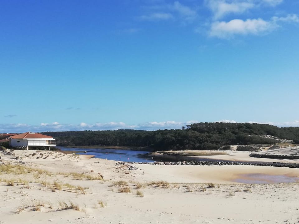 Natural landscape