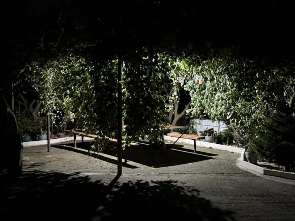 Tsikhisdziri Hotel Bed and Breakfast in Adjara, Georgia