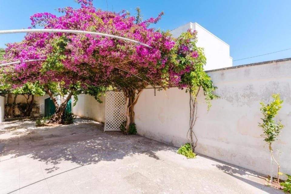 Villa Lola Villa in Porto Cesareo