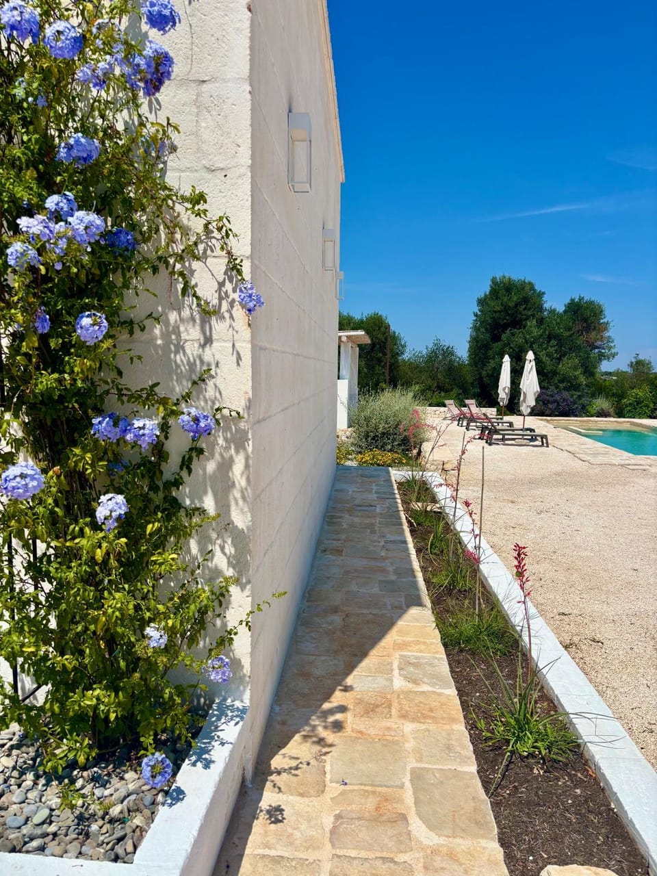 Property building, Swimming pool
