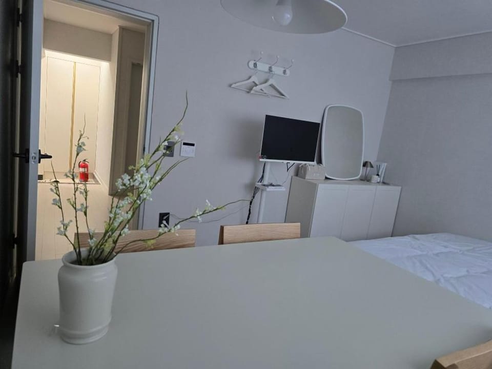 스테이 햇딴 Apartment in Seoul