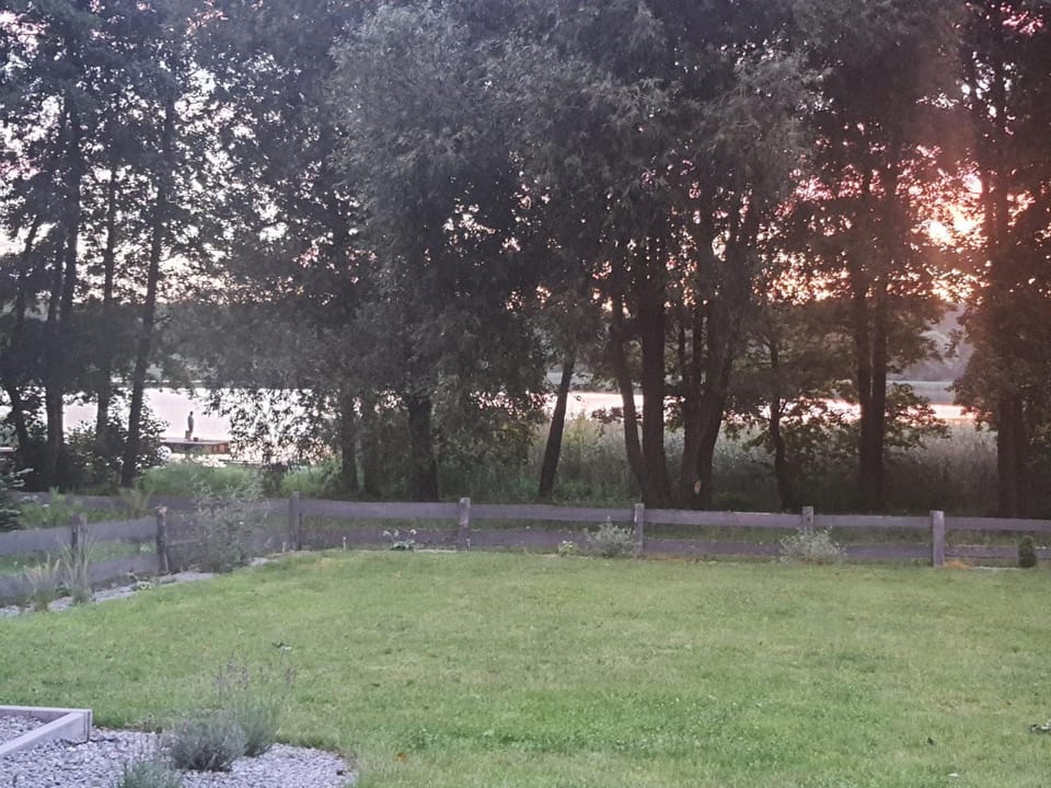 Garden, Garden view, Sunset