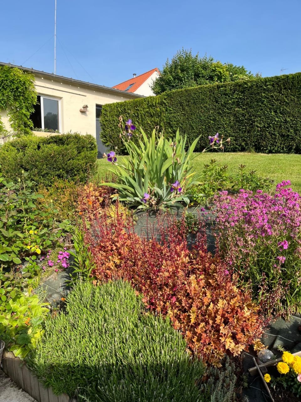 Maison pleine de charme House in Hauts-de-France