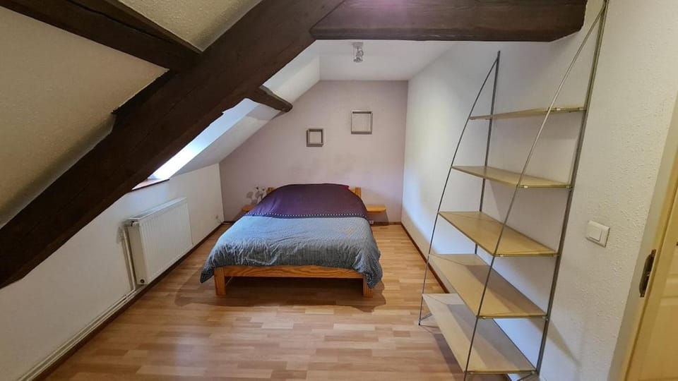 Appartement au centre de Ribeauvillé Apartment in Ribeauvillé
