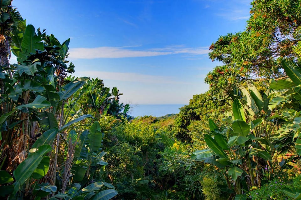 Idlewild 3, Zimbali Estate House in Dolphin Coast