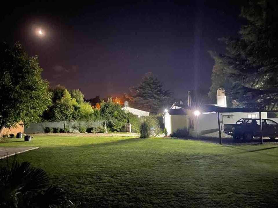 Night, Garden view