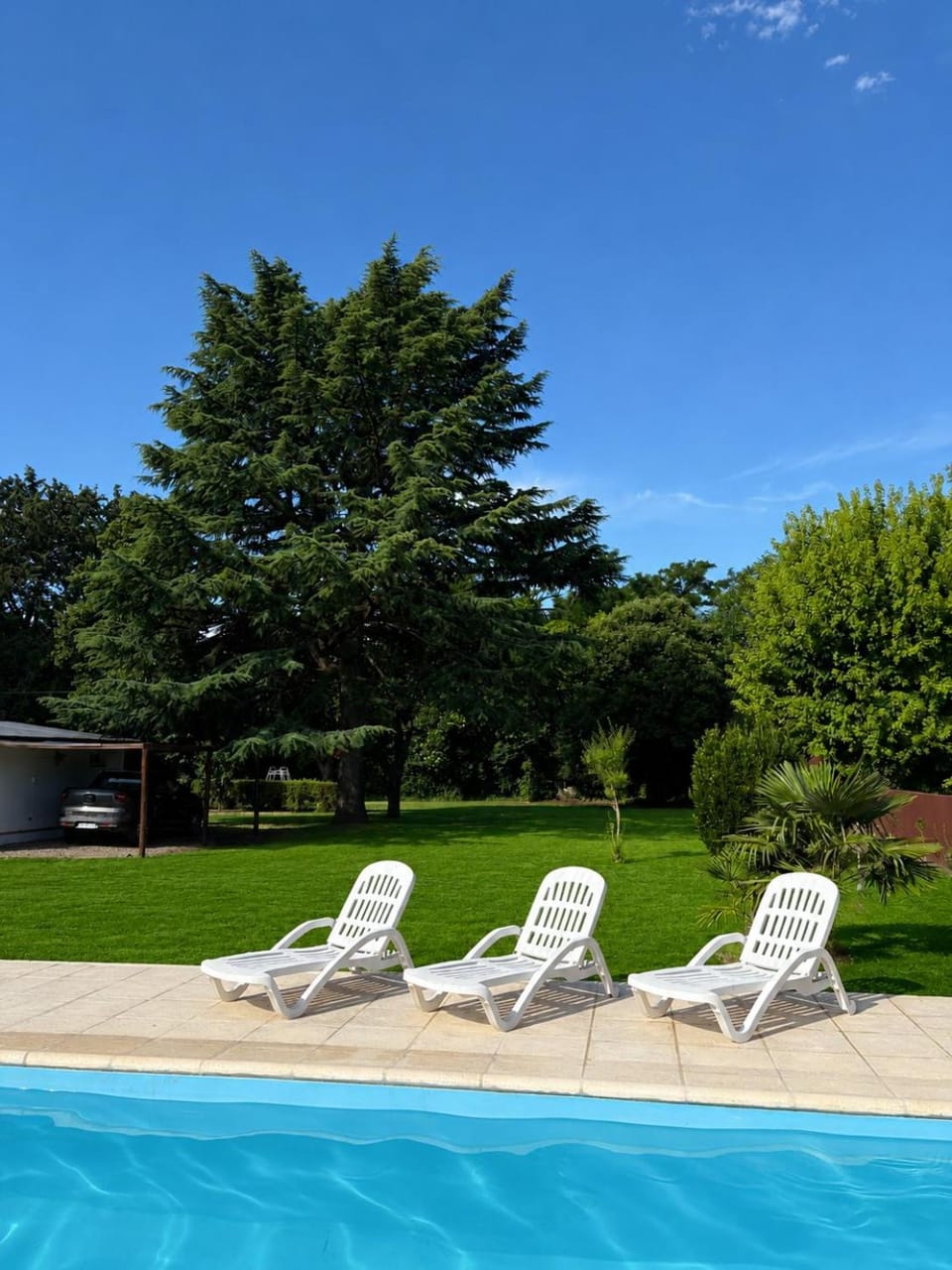 Garden, Garden view, Pool view, Swimming pool, sunbed