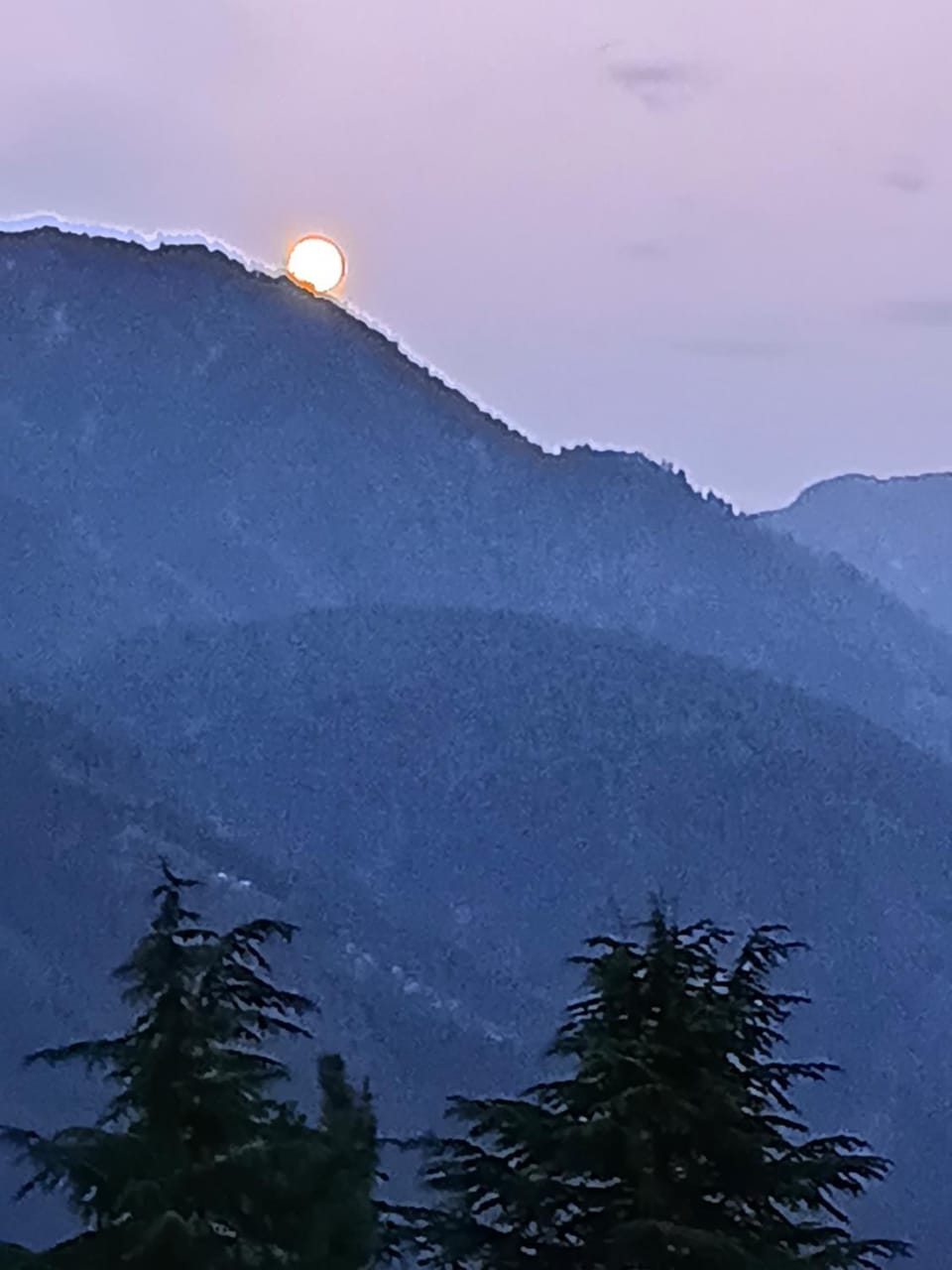 Apple Zone Home Stay Apartment in Himachal Pradesh