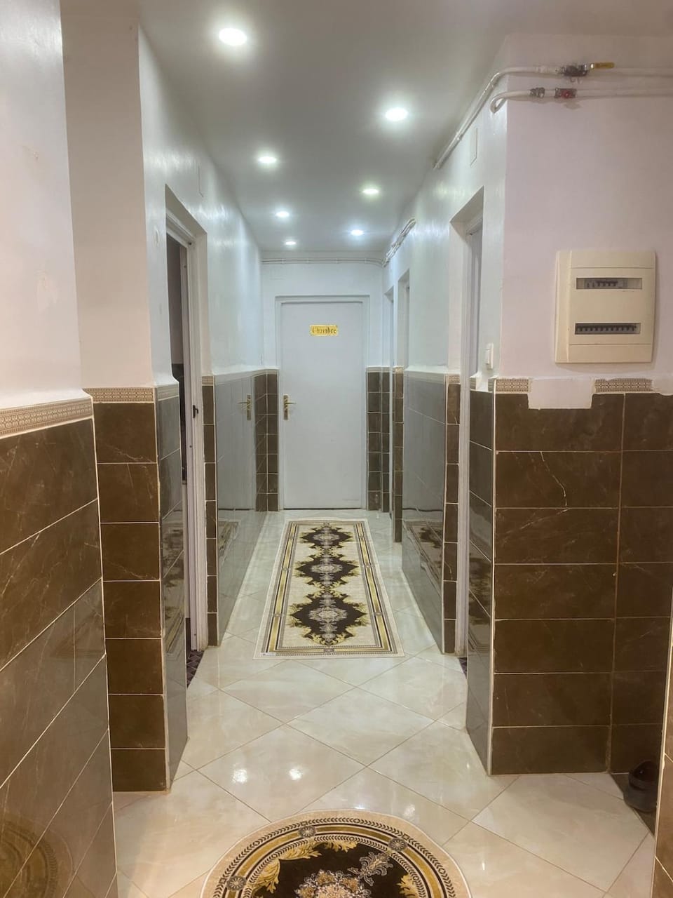 F3 Boulevard des Lions Apartment in Oran