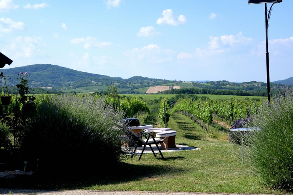 Natural landscape, Garden